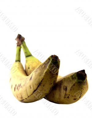 Bad Bananas