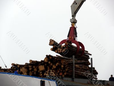 Timber Boat Loading
