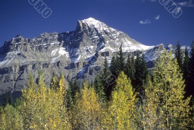 Canadian Rockies, fall colors
