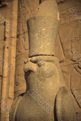 Statue of the Egyptian hawk headed god, Horus