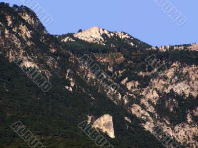 Landscape. Landscape.