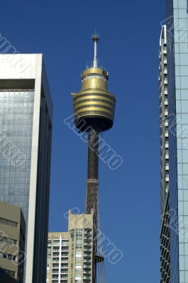 skyscrapers and sydney tower