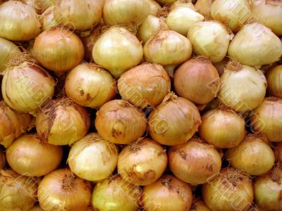 onion background