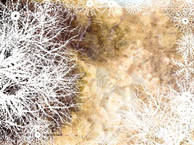 Abstract grunge background
