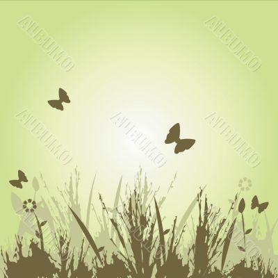 Floral image