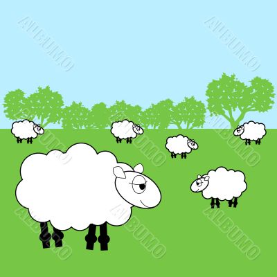 sheep cartoon