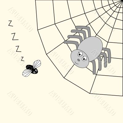 spider and fly cartoon