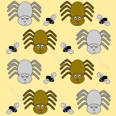 spider and fly cartoon