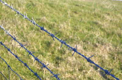 Barbed wire