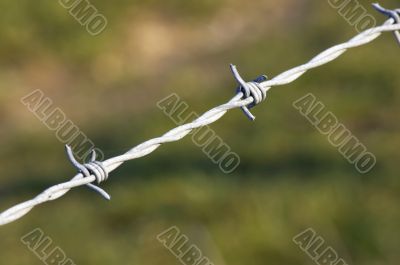 Barbed wire