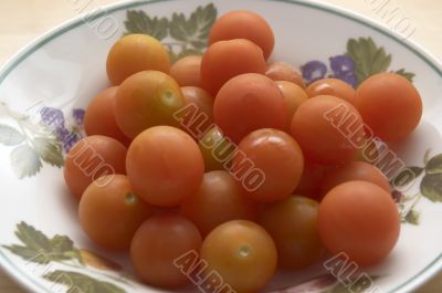 Cherry Tomato`s