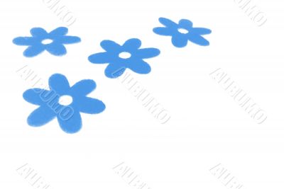 Blue flowers