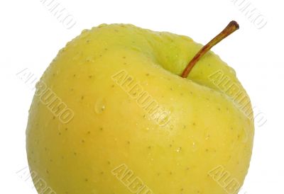 Yellow apple Yellow apple
