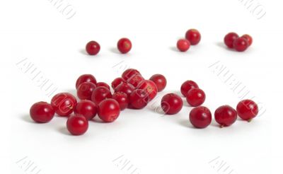 Scattering of cranberries Scattering of cranberries