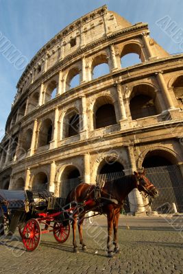 colosseum and horse colosseum and horse