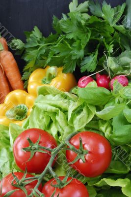 vegetarian vegetarian