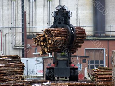 Truck Loading Timber