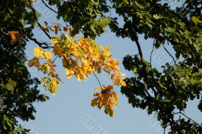 September September