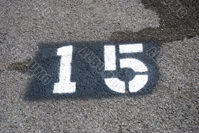 number 15