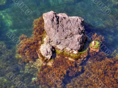 sea coast. The western Crimea. Tarhankut sea coast. The western Crimea. Tarhankut