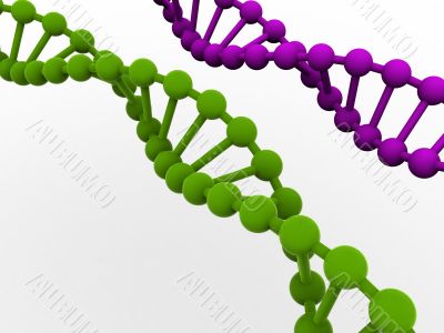 gene in DNA. gene in DNA.