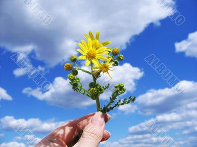 Hand with flowers