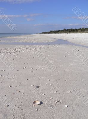 Beautiful sandy beach in Florida USA