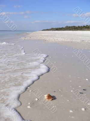 Beautiful sandy beach in Florida USA