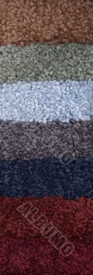 carpet swatch