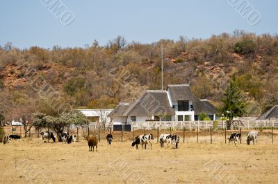 Farm agriculture