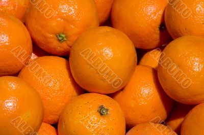 Sunny oranges