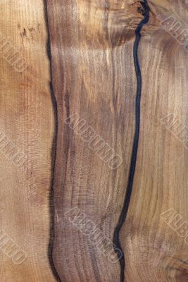 Wood Texture: Black Heart Sassafras