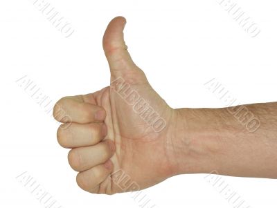 Thumbs Up - With clipping Path Thumbs Up - With clipping Path