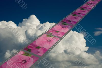 Film on a background of the cloudy sky