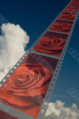 Film with roses on a background of the cloudy sky