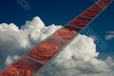 Film with roses on a background of the cloudy sky