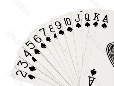 Spades