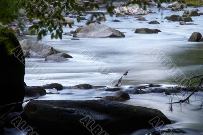 little creek with many stones and foliage