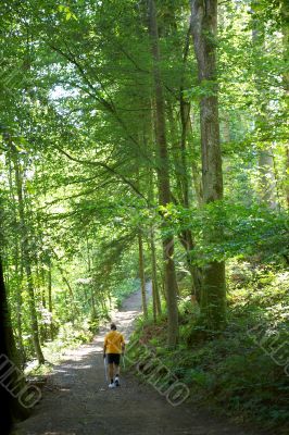 nordic walker on a hiking trail