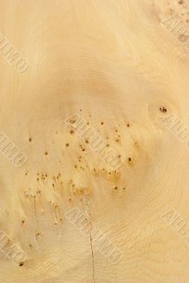 Wood Texture: Unknown Pale Wood