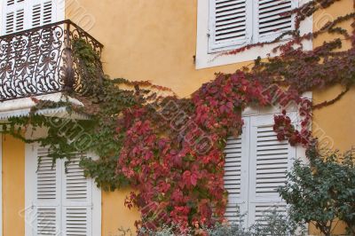 Autumn color. Autumn color.