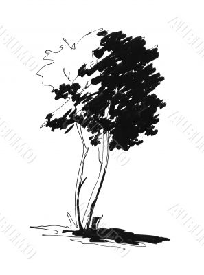 Sketch of lonely tree