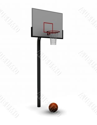 Basketball with net