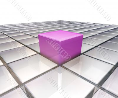 Stand out from the crowd