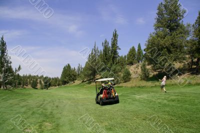 Golf cart and lady golfer driving