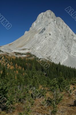 Mt Birdwood, showing deformation Mt Birdwood, showing deformation