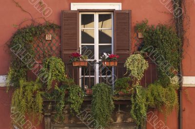 window garden