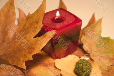 Fall leaves and candle