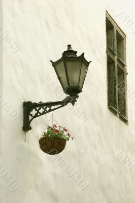 light wall and flowers