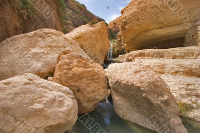 Bird above a falls. The mountain river in reserve on the Dead Sea in Israel